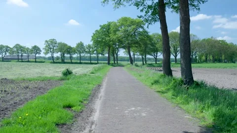 First-person perspective walking on a scenic countryside road lined with trees 스톡 동영상 336903216