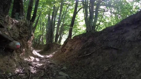 First person point of view of trekking in mountain woods. Видео 158290377