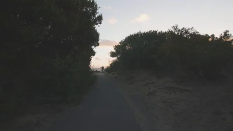 First person point of view walk from forest trail to beach view Stock Footage 87449473