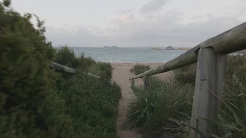 First person point of view walk from forest trail to beach view Stock Footage 87892773