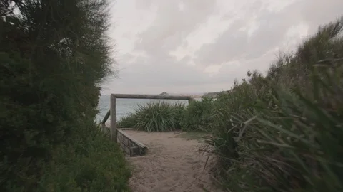 First person point of view walk from forest trail to beach view Stock Footage 88517827