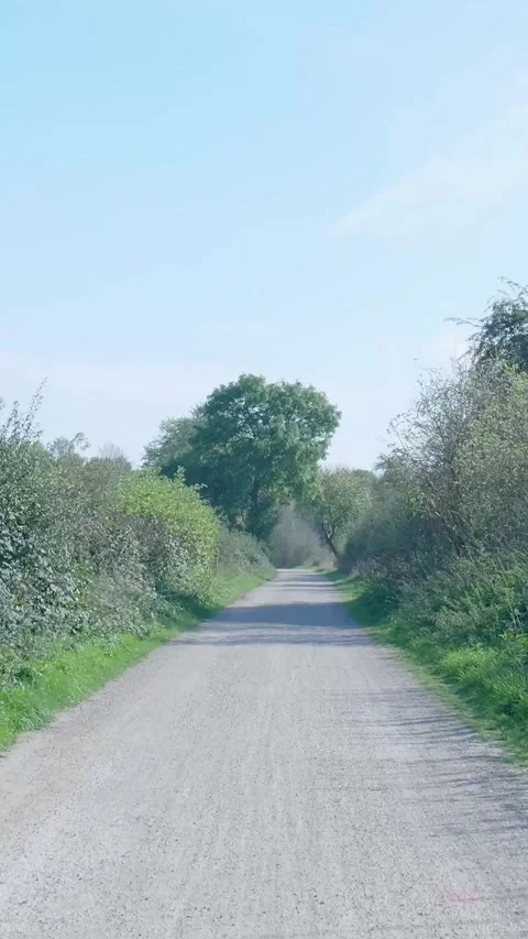 First person point of view walking along a rural gravel path in nature Stockbeeldmateriaal 327108646