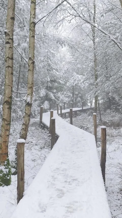 First person point of view walking on snowy forest boardwalk Stock Footage 327114706