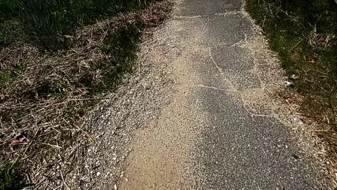 First person point of view walking on a trail Vidéo 336733592