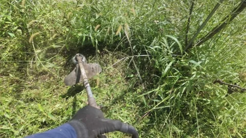 First Person POV Using a Brush Cutter to Cut Grass Stock-Footage 344848800