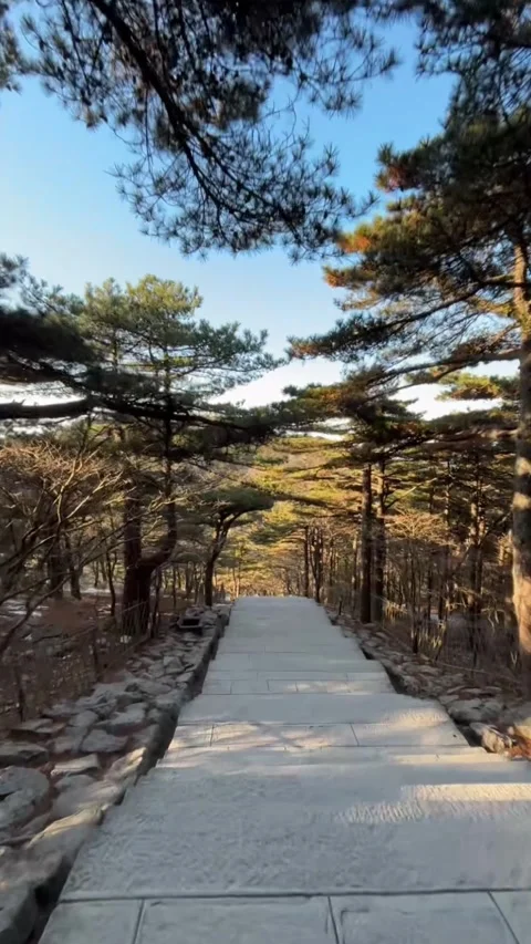 First-person POV Walking down Stone Stairs in Huangshan Pine Forest Stock Footage 330245529