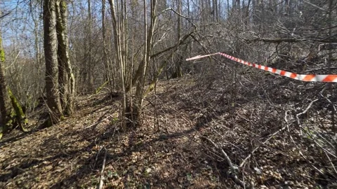 First-person trail running in spring forest – dynamic pov footage Stock Footage 305907225