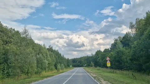 A first-person view of the car behind the wheel. A road with trees and woods Stock Footage 300178295