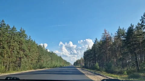 A first-person view of the car behind the wheel. A road with trees and woods Stock Footage 300178356