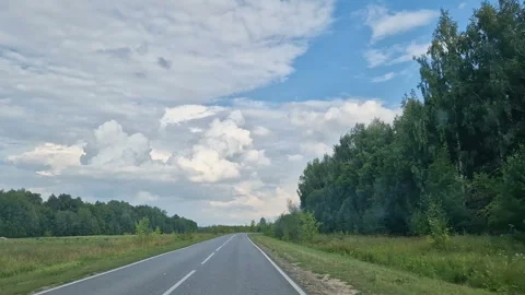 A first-person view of the car behind the wheel. A road with trees and woods Stock Footage 300179010