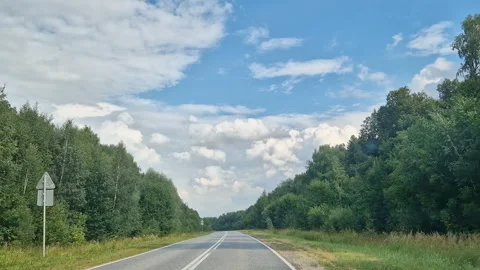 A first-person view of the car behind the wheel. A road with trees and woods Stock Footage 300179036