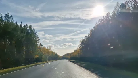 A first-person view of the car behind the wheel. A road with trees and woods Stock Footage 303889166