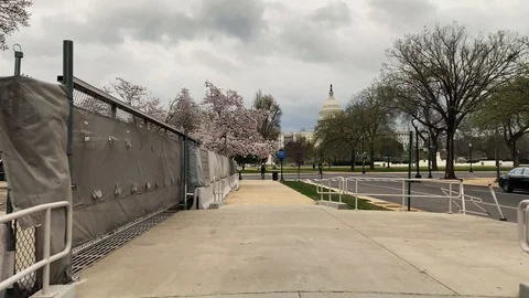First person view of DC during COVID-19 Stock Footage 127839107