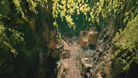 First person view of descending through a rocky, verdant crevice 스톡 동영상 309837906
