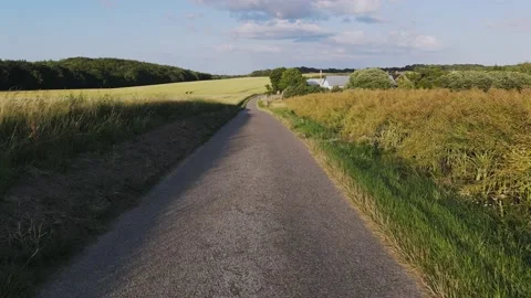 First-person view driving between two whet fields on a sunny day Vídeo Stock 201968983