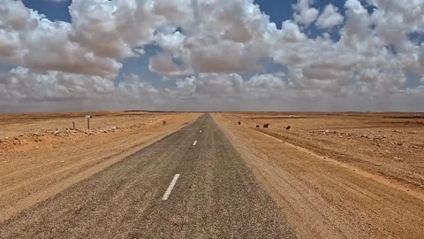 First-person view driving on desert road in tunisia Stock Footage 279848595