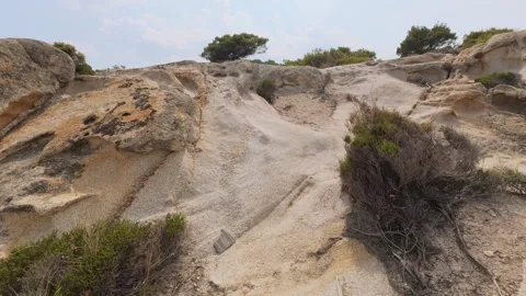 First-person view of fast trail running over rocky and uneven terrain with dry Stock Footage 313842393