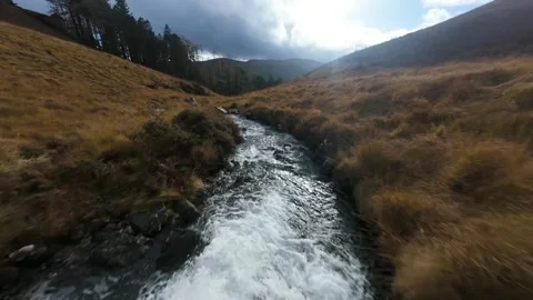 First person view flight along a mountain stream Stock Footage 327066121