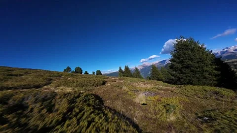 First person view flying through sunny alpine forest Vidéo 327013514