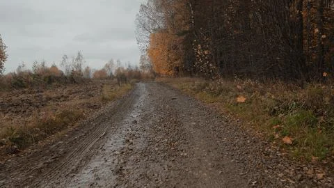 First-person view of a forest road. mud, puddles, autumn weather. overcast Stock Photos