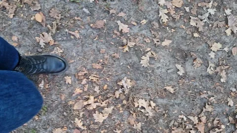 First-person view of the ground covered with fallen leaves Stock Footage 289669944