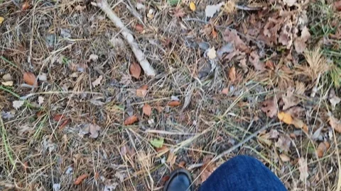First-person view of the ground covered with fallen autumn leaves Stock Footage 289672194