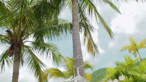 First person view of a hammock rocking in a tropical setting Stock Footage 35991628