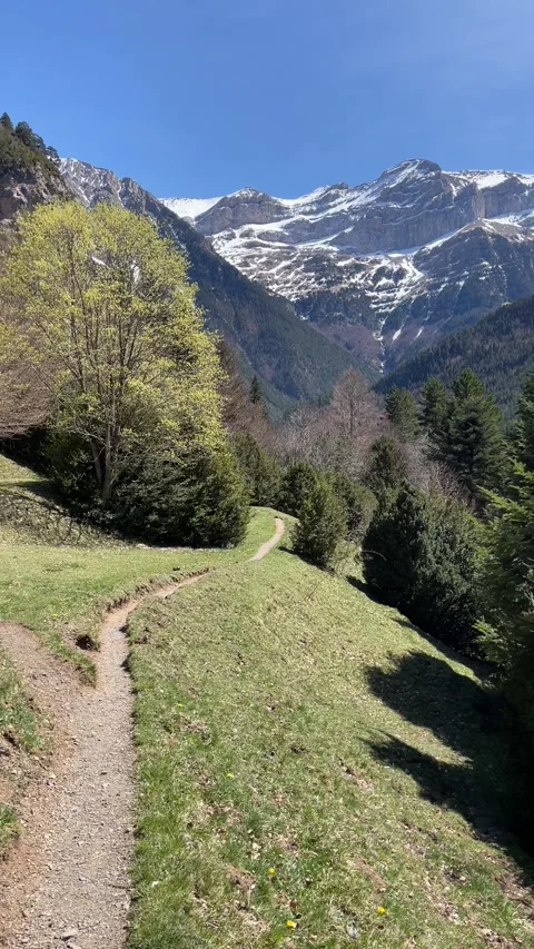 First person view of a hiker walking along a footpath in the Pyrenees Stock Footage 240497450