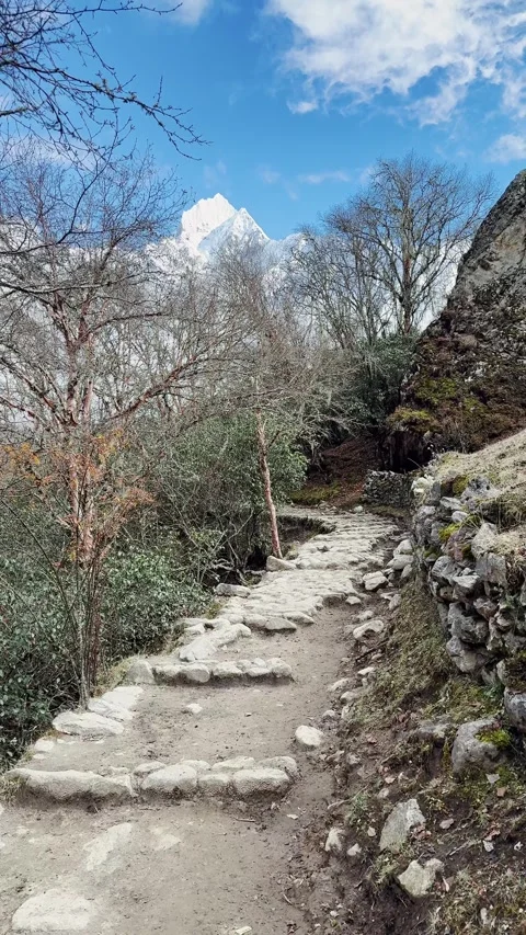 First-person view of a hiker walking along a Himalayan mountain route, UGC Stock Footage 329666377