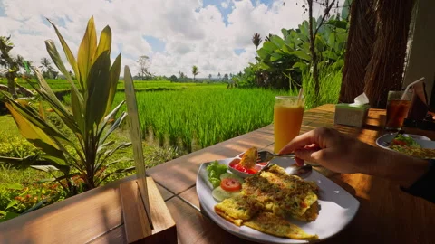 First Person View Holding Fresh Breakfast Above Tropical Rice Fields, Relaxed Ou Stock Footage 337016109