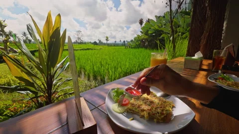 First Person View Holding Fresh Cucumber Slice Above Breakfast Plate Near Tropic Stock Footage 337016179
