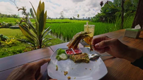 First Person View Holding Piece of Omelet Above Breakfast Plate Beside Tropical Stock Footage 337032045