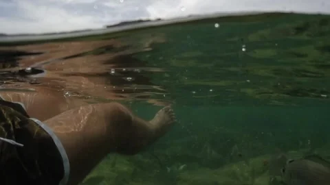 First person view of legs floating on sea water with fish swimming Видео 279433549