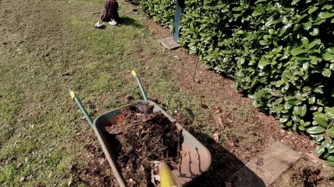 First person view of loading humus into wheelbarrow with pitchfork in garden. Stock Footage 332153868