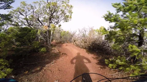 First Person View Of Man Mountain Biking On A Beautiful Trail Stock Footage 104423966