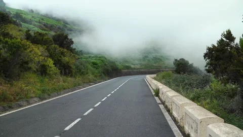 First-person view of motion along a mountain road at cloud level, slopes covered Stock Footage 138024726