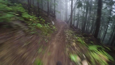 First Person View Of Mountain Biking Through A Foggy Green Forest Video stock 103191876