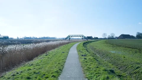 First-person view moving on cycling path through dutch countryside 库存影片 331188754