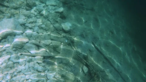 First person view, point of view scuba diving in pristine lake to the bottom Stock Footage 137156794