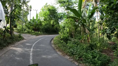 First person view riding scooter on a tropical winding road Stock Footage 330574667
