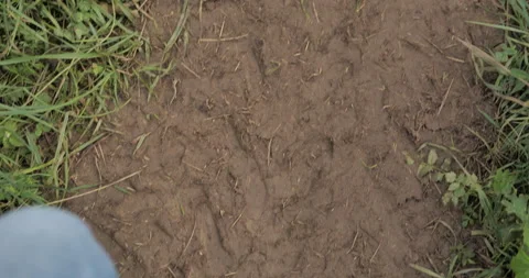 First person view road. Concept: running, walking. 4К Stock Footage 159181561