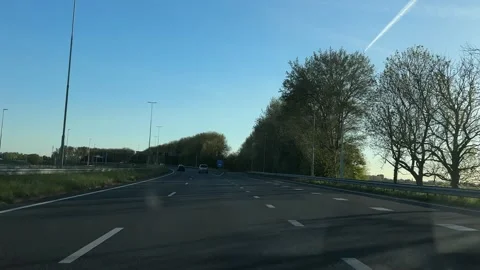 First-person view of a road with trees and streetlights on a highway during the Video stock 342752274
