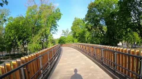 First-person view. A runner runs on a morning jog on the street in the park Stock Footage 241414320