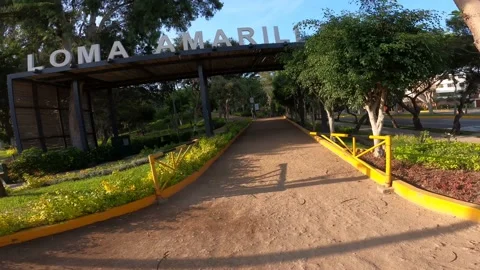 First person view running up a hill uphill and reaching 動画素材 150669351