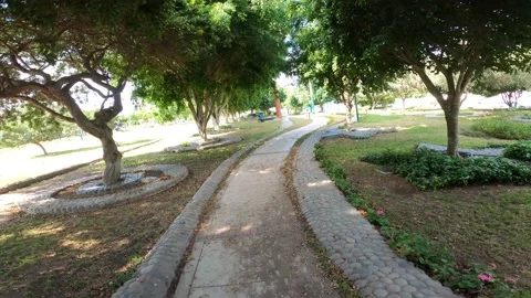 First person view running through Ecological Park Video stock 150315601