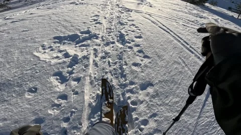 First person view of ski touring or splitboarding uphill in bright winter sun Stock Footage 321751447