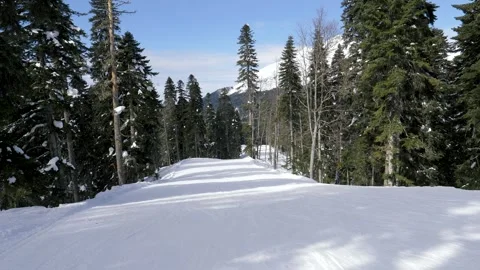 First person view of skiing on snow mountain slope Stock Footage 329711256
