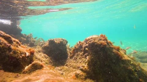First person view of snorkeling in clear turquoise water, gliding over a rocky Stock Footage 338364253