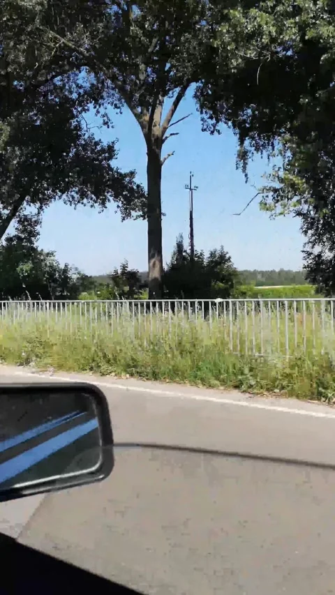 A first-person view through an open car window Stock Footage 299598602