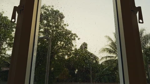 First Person View Through an Open Window Covered With Rain Drops, Tropical Trees Stock Footage 338188240
